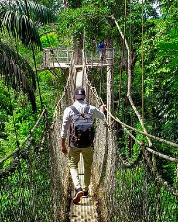 KS-2020-Atta-Lodge-canopy-walkway (2)_jp.jpg
