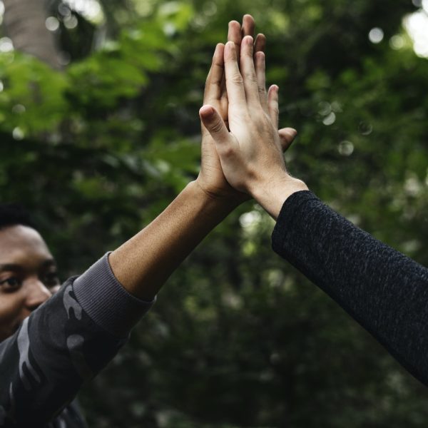 High five in the forest